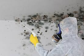 Best Industrial Mold Remediation  in Franklin Rk, PA